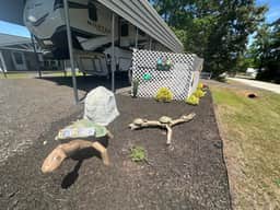 Turtle Town Bungalow on Lake Murray w/ RV Parking